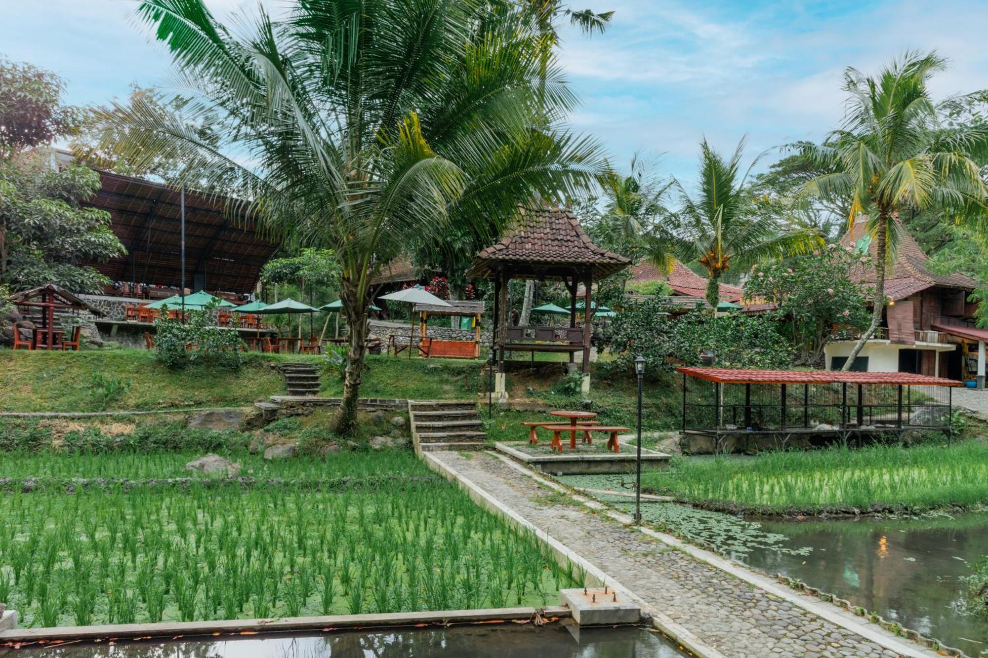Padi Heritage Hotel Malang Exteriör bild